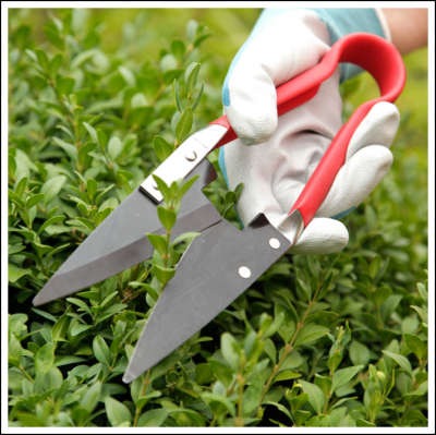 Spear & Jackson 4755TS Single Hand Topiary Shears