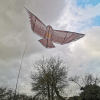 Defenders Swoop All-in-One Hawk Kite Kit 3