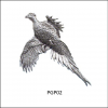 Bisley Pewter Country Bird Lapel Pin Badges 2