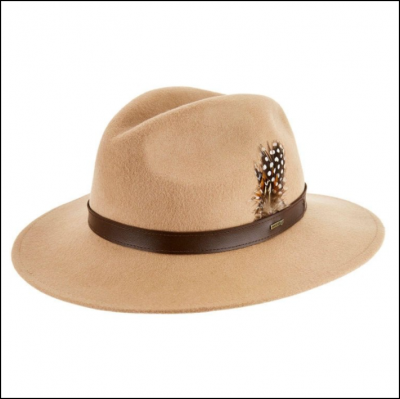 Dubarry Gallagher Ladies Felt Hat Sand