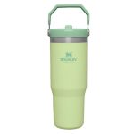 Stanley IceFlow Flip Straw Tumbler .89L Citron 1