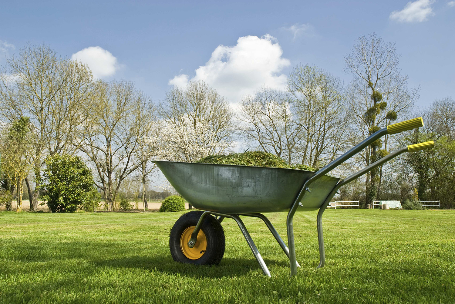 Haemmerlin 300l colossus on sale poly wheelbarrow